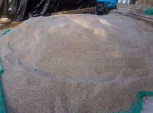 Jual Pasir di Sunter dengan Jenis Pasir Putih Bangka