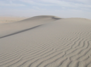 Jual Pasir Putih Bangka Belitung Dan Bahan Bangunan Lainnya Di Bojong