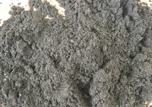 Jual Pasir Putih Bangka Belitung Dan Bahan Bangunan Lainnya Di Tanah Tinggi