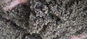 Jual Pasir Putih Bangka Belitung Dan Bahan Bangunan Lainnya Di Pondok Pinang