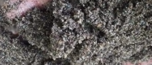 Jual Pasir Putih Bangka Belitung Dan Bahan Bangunan Lainnya Di Kayuringin Bekasi Selatan