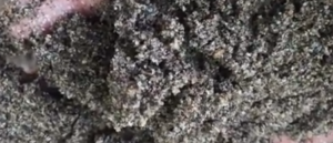 Jual Pasir Putih Bangka Belitung Dan Bahan Bangunan Lainnya di Mangga Dua Selatan