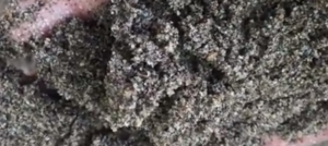 JUAL PASIR PUTIH BANGKA BELITUNG DAN BAHAN BANGUNAN LAINNYA DI BUNGUR