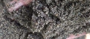 Jual Pasir Putih Bangka Belitung Dan Bahan Bangunan Lainnya Di Grogol