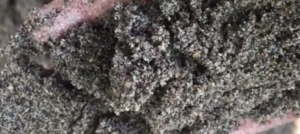 Jual Pasir Bangka Dan Bahan Bangunan Lainnya di Kenari