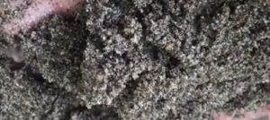 JUAL PASIR PUTIH BANGKA DAN BAHAN BANGUNAN LAINNYA DI KRAMAT