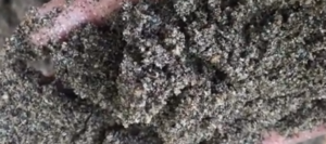 Jual Pasir Putih Bangka Belitung Dan Bahan Bangunan Lainnya Di Paseban