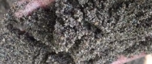 Jual Pasir Putih Bangka Belitung Dan Bahan Bangunan Lainnya Di Kebon Kacang