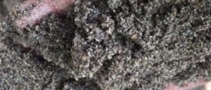 Jual Pasir Putih Bangka Di Karang Tengah