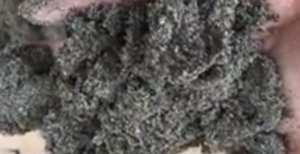 Jual Pasir Putih Bangka Belitung Dan Bahan Bangunan Lainnya Di Desa Sawah Baru