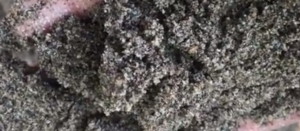 Jual Pasir Putih Bangka Belitung Dan Bahan Bangunan Lainnya Di Cipedak