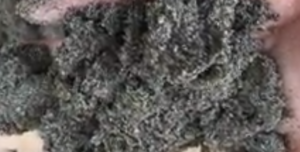 Jual Pasir Putih Bangka Belitung Dan Bahan Bangunan Lainnya Di Mampang Prapatan