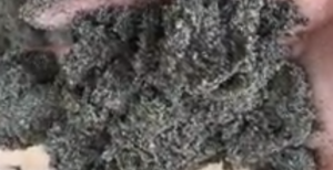 Jual Pasir Putih Bangka Belitung Dan Bahan Bangunan Lainnya Di Cikoko