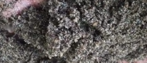 Jual Pasir Putih Bangka Belitung Dan Bahan Bangunan Lainnya Di Pancoran