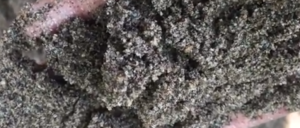 Jual Pasir Putih Bangka Belitung Dan Bahan Bangunan Lainnya Di Manggarai