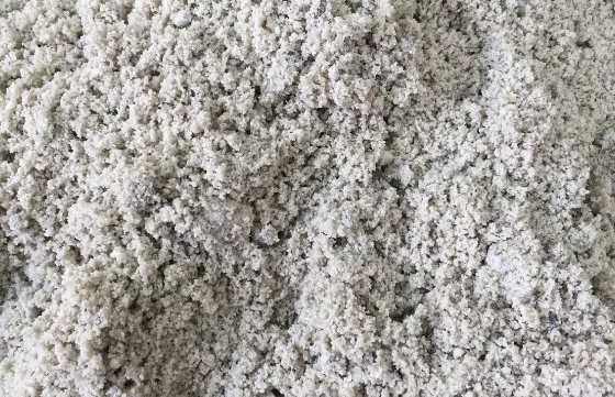 Raispasir.com