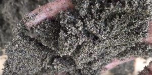 Jual Pasir Putih Bangka Belitung Dan Bahan Bangunan Lainnya Di Jalan Medan Merdeka Barat Jakarta Pusat