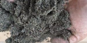 Jual Pasir Putih Bangka Belitung Dan Bahan Bangunan Lainnya Di Perumahan Mutiara Gading Bojong Bekasi