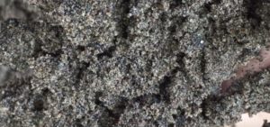 Jual Pasir Putih Bangka Belitung Dan Bahan Bangunan Lainnya Di Serdang Jakarta Pusat