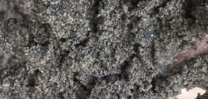 Jual Pasir Putih Bangka Belitung Dan Bahan Bangunan Lainnya Di Kebon Kelapa Bojong 