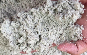 Supplier pasir Bangka di Cawang