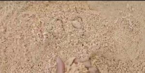 Bagaimana Cara Order Pasir Di Yang Jual Pasir Di Jakarta Cilincing?