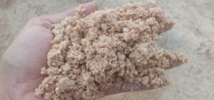 Jenis Pasir Bangunan Untuk Aquascape