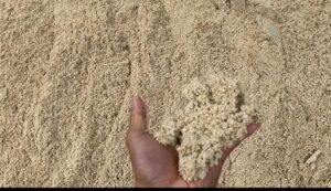 Pasir Bangka Crem Walau tinggi Harganya Tetap Diminati Pembeli