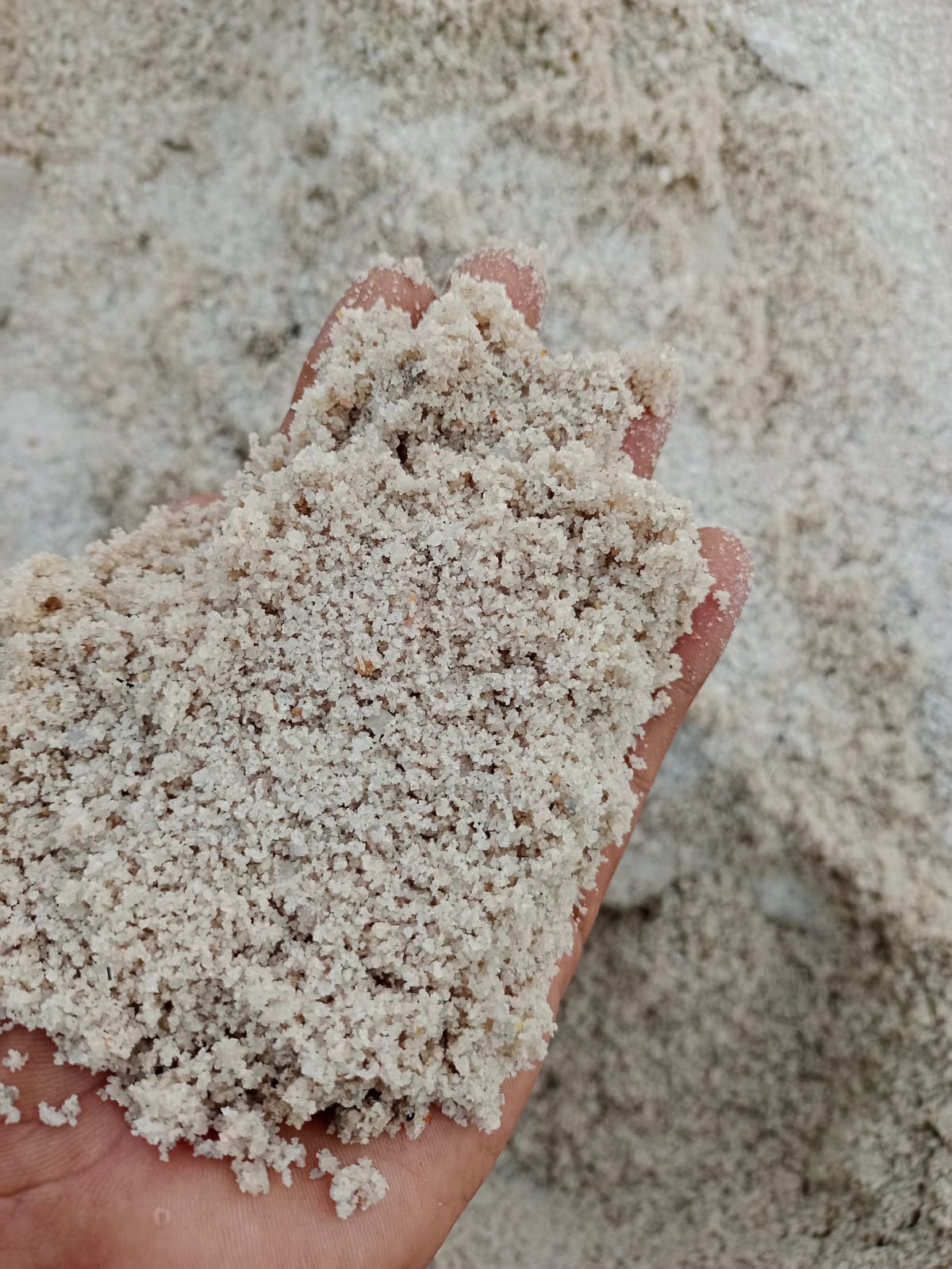 Kenapa Pasir Bangka Tidak Tampak Cerah Kehadirannya Di Jakarta