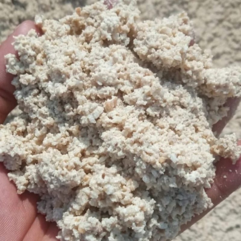 Pasir Bangka Putih Di Jakarta Hampir Tidak Pernah Ada?