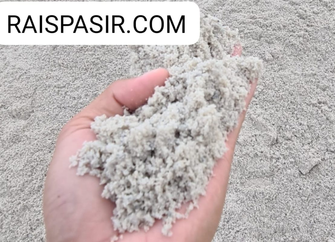 Raispasir.com