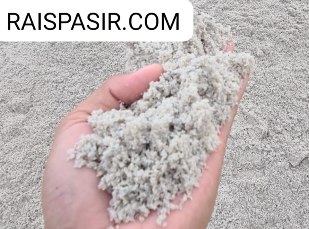 Raispasir.com